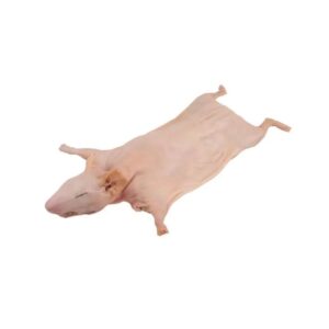 cuy mediano